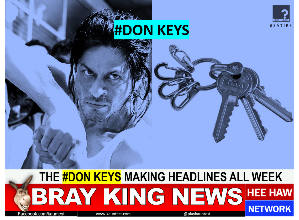 don-keys