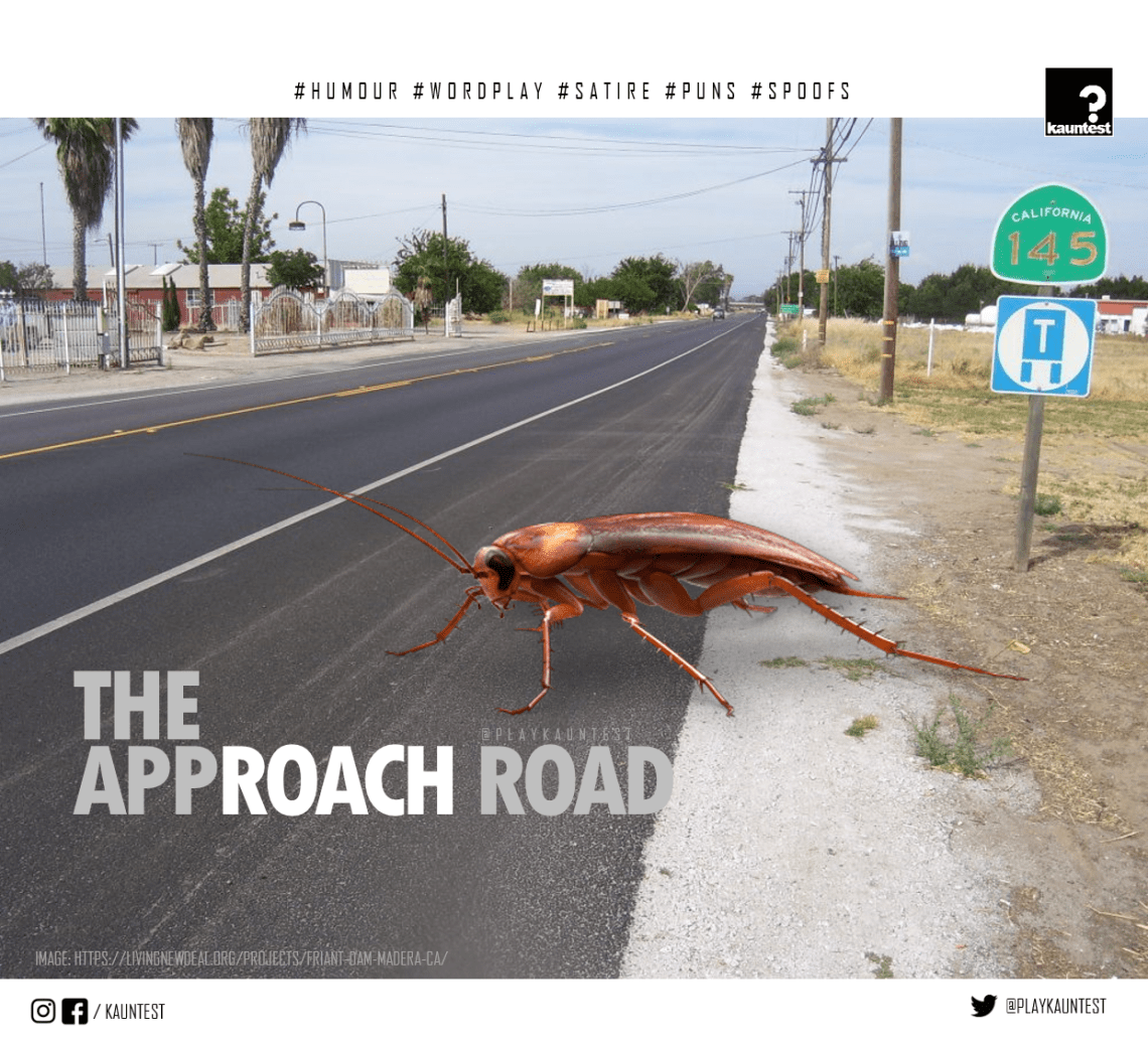 ROACH